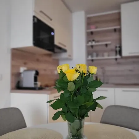 Antea With Free Parking ザダル