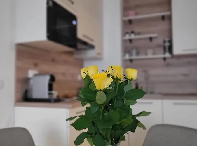 Antea With Free Parking Zadar